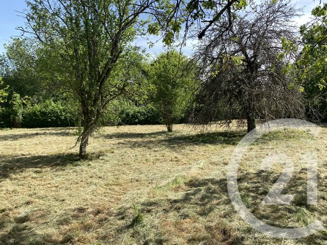 maison à vendre - 7 pièces - 290.0 m2 - CIEZ - 58 - BOURGOGNE - Century 21 Agence Ducreux