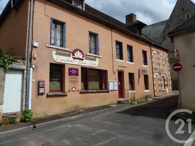 maison - ST AMAND EN PUISAYE - 58