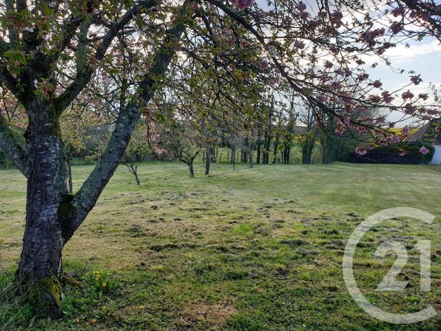 maison à vendre - 3 pièces - 73.0 m2 - DONZY - 58 - BOURGOGNE - Century 21 Agence Ducreux maison à vendre - 3 pièces - 73.0 m2 - DONZY - 58 - BOURGOGNE - Century 21 Agence Ducreux