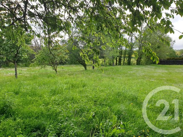 maison à vendre - 3 pièces - 73.0 m2 - DONZY - 58 - BOURGOGNE - Century 21 Agence Ducreux maison à vendre - 3 pièces - 73.0 m2 - DONZY - 58 - BOURGOGNE - Century 21 Agence Ducreux