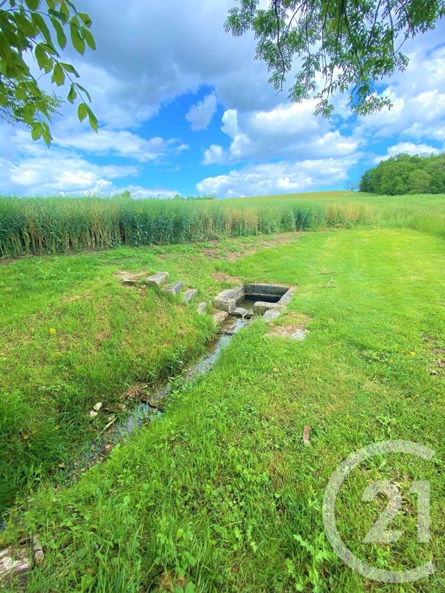 maison à vendre - 7 pièces - 281.0 m2 - ST PERE - 58 - BOURGOGNE - Century 21 Agence Ducreux maison à vendre - 7 pièces - 281.0 m2 - ST PERE - 58 - BOURGOGNE - Century 21 Agence Ducreux