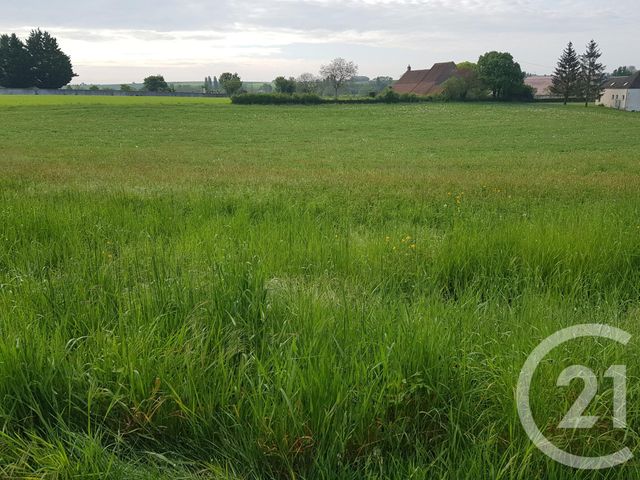 terrain - ST LOUP - 58