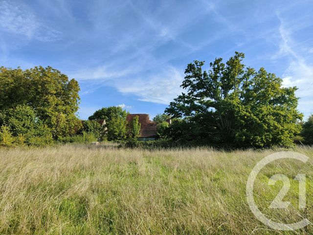 maison à vendre - 5 pièces - 106.4 m2 - HERRY - 18 - CENTRE - Century 21 Agence Ducreux