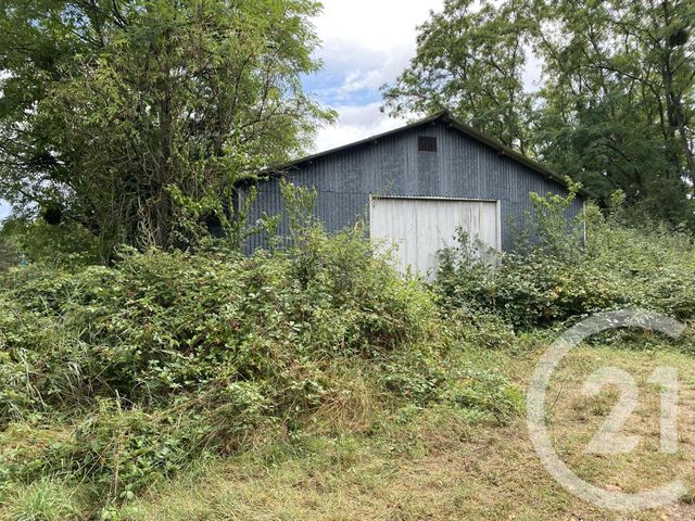 maison - COSNE COURS SUR LOIRE - 58