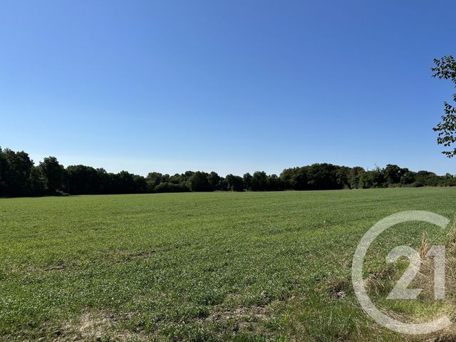 maison à vendre - 6 pièces - 132.0 m2 - SURY ES BOIS - 18 - CENTRE - Century 21 Agence Ducreux