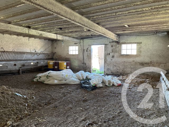 maison à vendre - 6 pièces - 132.0 m2 - SURY ES BOIS - 18 - CENTRE - Century 21 Agence Ducreux