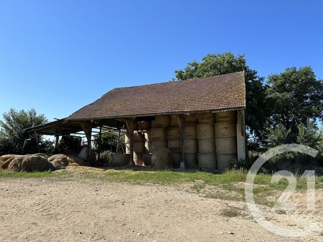 maison à vendre - 6 pièces - 132.0 m2 - SURY ES BOIS - 18 - CENTRE - Century 21 Agence Ducreux