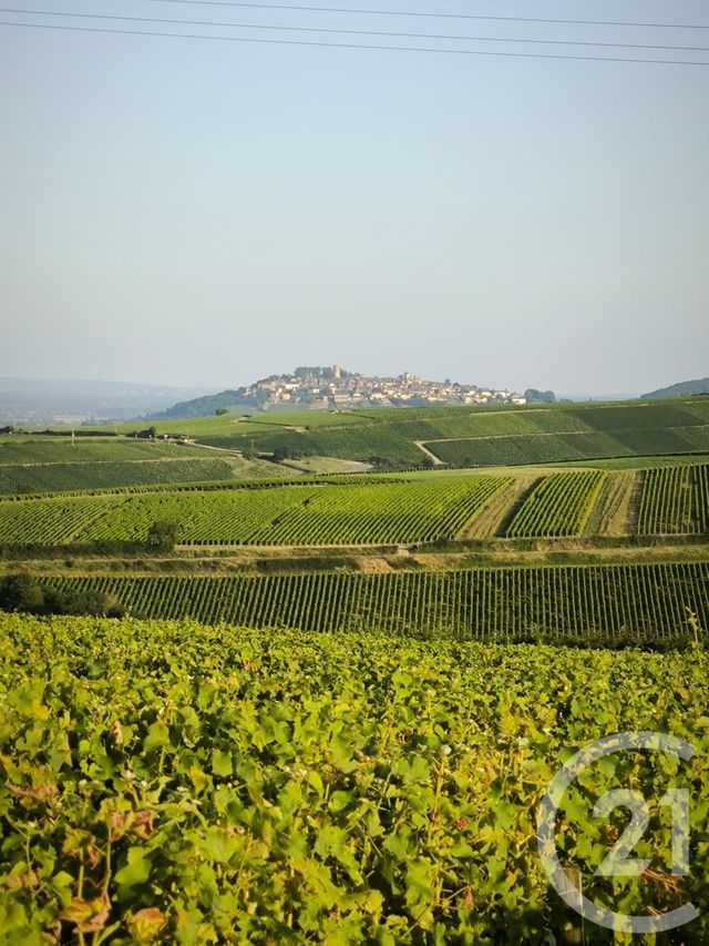 maison à vendre - 9 pièces - 182.0 m2 - SURY EN VAUX - 18 - CENTRE - Century 21 Agence Ducreux