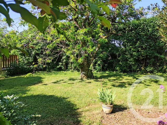 maison à vendre - 6 pièces - 200.0 m2 - TREIGNY - 89 - BOURGOGNE - Century 21 Agence Ducreux