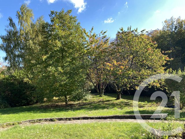 maison à vendre - 5 pièces - 130.0 m2 - BELLEVILLE SUR LOIRE - 18 - CENTRE - Century 21 Agence Ducreux