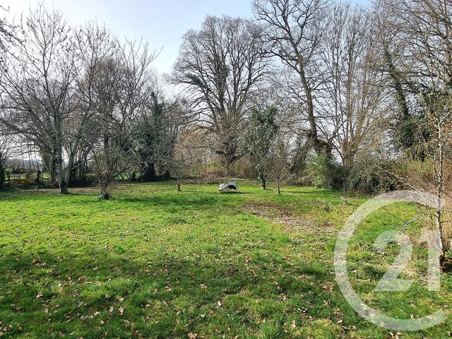 maison à vendre - 6 pièces - 120.0 m2 - LE NOYER - 18 - CENTRE - Century 21 Agence Ducreux