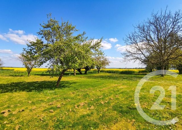 maison à vendre - 8 pièces - 210.0 m2 - DONZY - 58 - BOURGOGNE - Century 21 Agence Ducreux