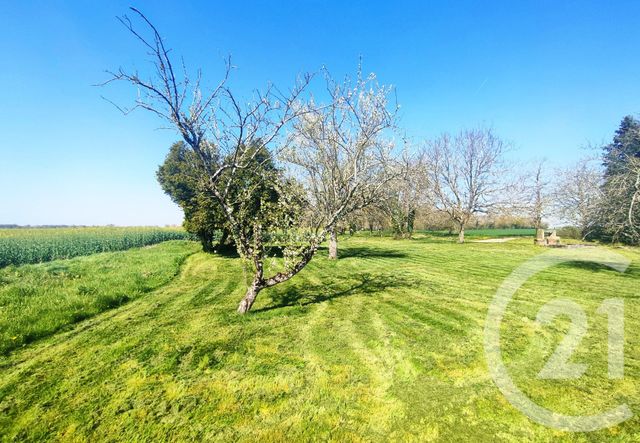 maison à vendre - 8 pièces - 210.0 m2 - DONZY - 58 - BOURGOGNE - Century 21 Agence Ducreux