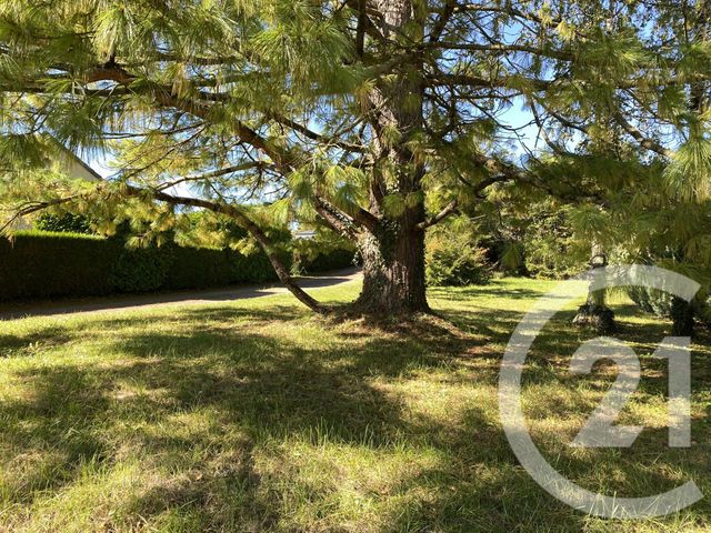 maison à vendre - 4 pièces - 90.0 m2 - ST PERE - 58 - BOURGOGNE - Century 21 Agence Ducreux