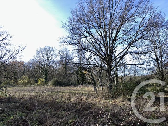 maison à vendre - 3 pièces - 109.0 m2 - SAVIGNY EN SANCERRE - 18 - CENTRE - Century 21 Agence Ducreux