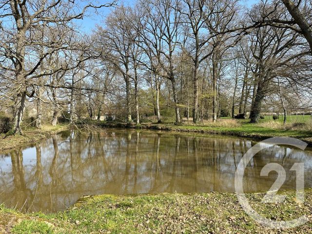 maison à vendre - 11 pièces - 310.0 m2 - COSNE COURS SUR LOIRE - 58 - BOURGOGNE - Century 21 Agence Ducreux