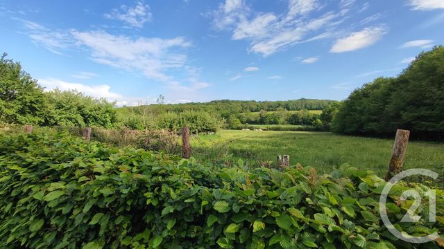 maison à vendre - 6 pièces - 122.7 m2 - MOUTIERS EN PUISAYE - 89 - BOURGOGNE - Century 21 Agence Ducreux