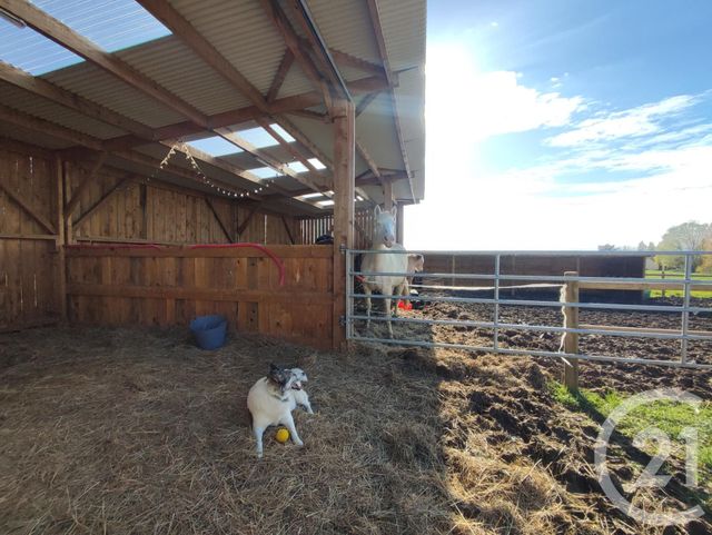 maison à vendre - 7 pièces - 99.4 m2 - COSNE COURS SUR LOIRE - 58 - BOURGOGNE - Century 21 Agence Ducreux