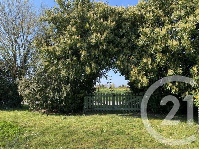 maison à vendre - 4 pièces - 166.0 m2 - HERRY - 18 - CENTRE - Century 21 Agence Ducreux