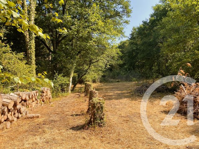 maison à vendre - 4 pièces - 65.0 m2 - ARQUIAN - 58 - BOURGOGNE - Century 21 Agence Ducreux