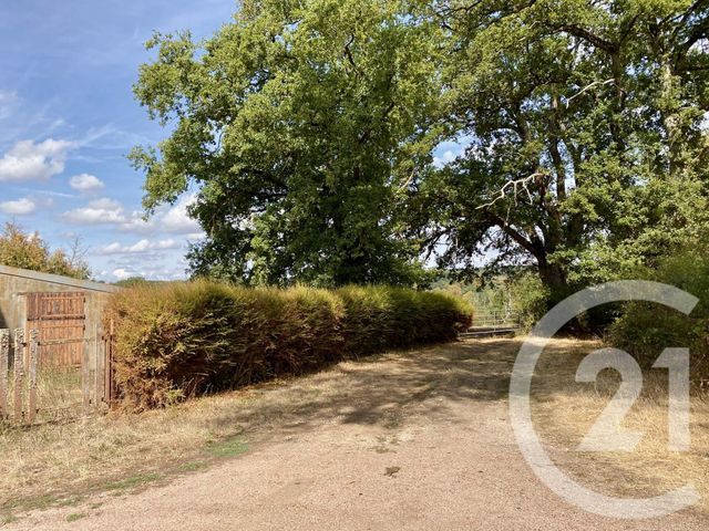 maison à vendre - 6 pièces - 128.0 m2 - ST AMAND EN PUISAYE - 58 - BOURGOGNE - Century 21 Agence Ducreux